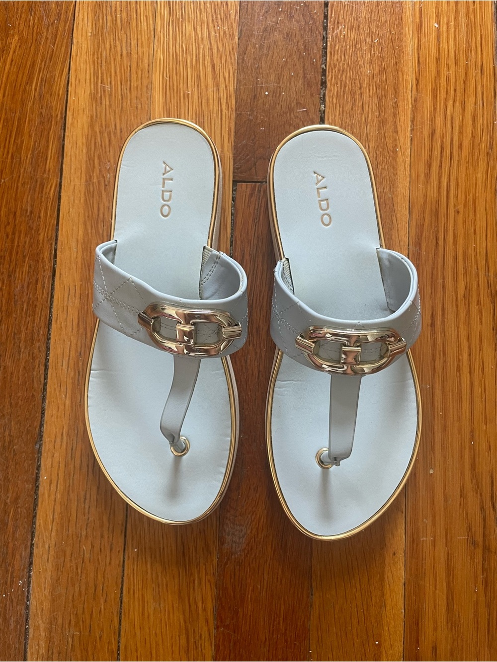 ALDO Blue Leather Thong Sandals with Gold Accent